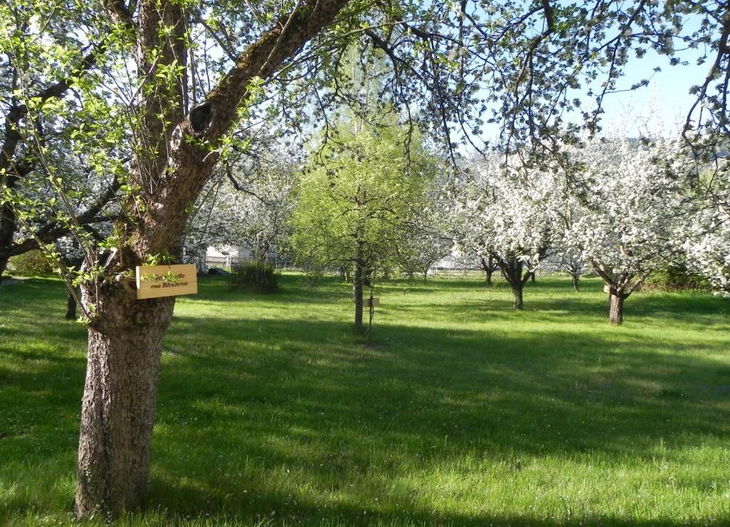 קירכברג אם וקסל Gasthof Gruener Baum מראה חיצוני תמונה