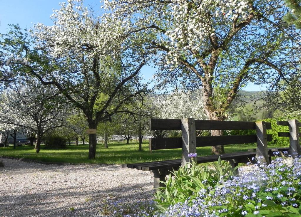 קירכברג אם וקסל Gasthof Gruener Baum מראה חיצוני תמונה
